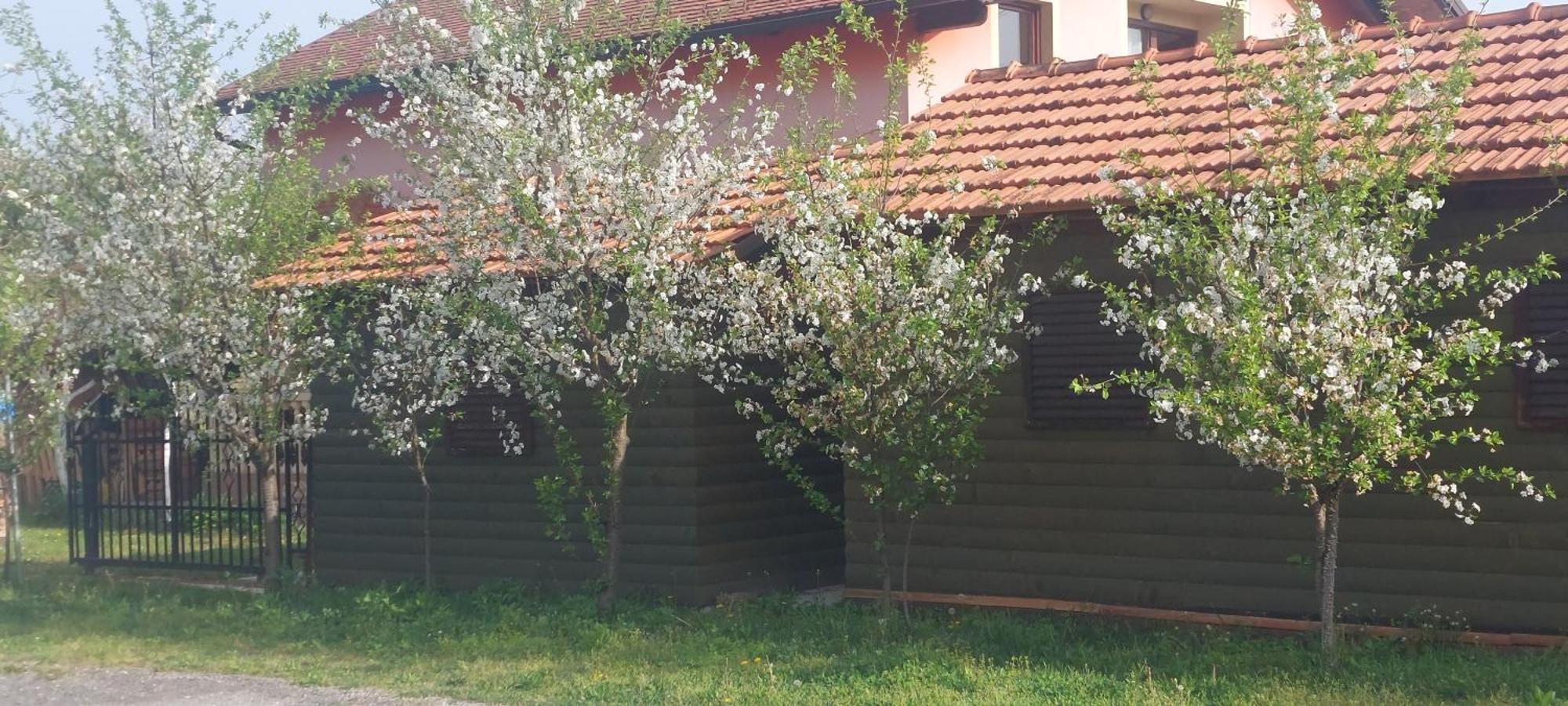 Kod Ane Apartment Belavici Exterior photo
