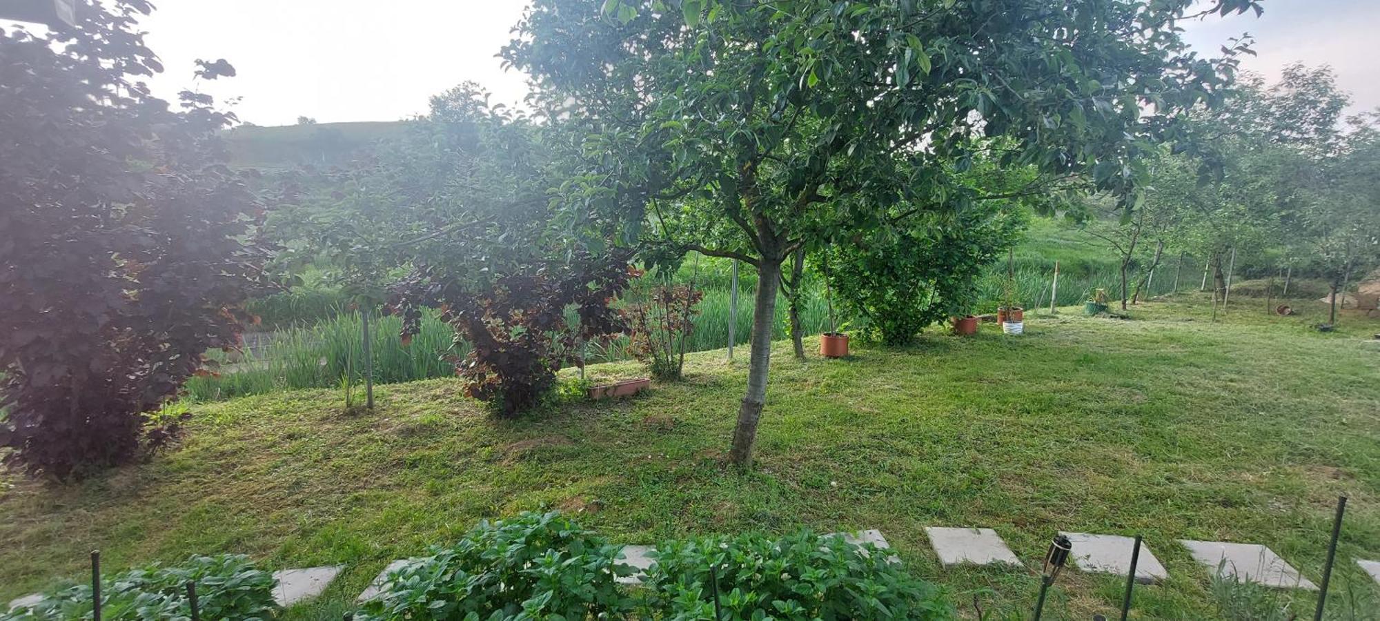Kod Ane Apartment Belavici Exterior photo